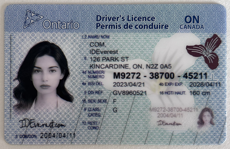 Ontario Fake ID