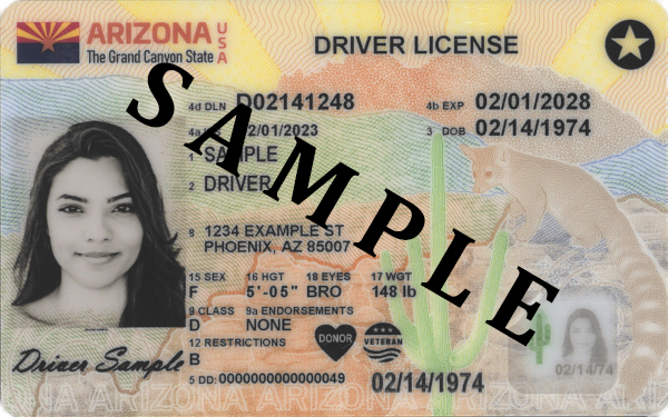 arizona drivers license fake